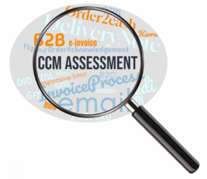 Magnifying glass over a word cloud with CCM assessment in focus.